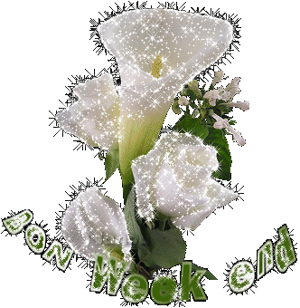 Passaient un agréables weekend a tous le monde avec mes amitiée